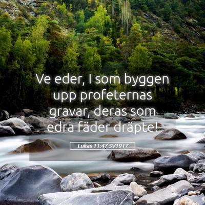 Picture 05 - Lukas 11:47 SV1917 - Ve eder, I som byggen upp profeternas gravar, - Bible Verse Picture