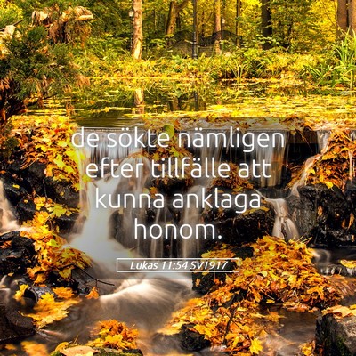 Picture 05 - Lukas 11:54 SV1917 - de sökte nämligen efter tillfälle att kunna - Bible Verse Picture