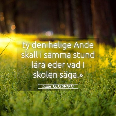 Picture 05 - Lukas 12:12 SV1917 - ty den helige Ande skall i samma stund lära eder - Bible Verse Picture