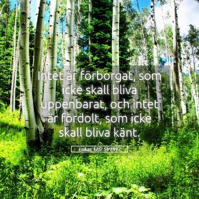 Picture 05 - Lukas 12:2 SV1917 - Intet är förborgat, som icke skall bliva - Bible Verse Picture