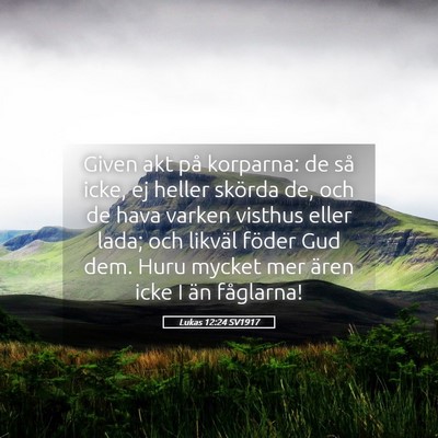 Picture 05 - Lukas 12:24 SV1917 - Given akt på korparna: de så icke, ej heller - Bible Verse Picture