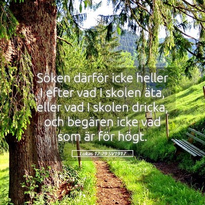 Picture 05 - Lukas 12:29 SV1917 - Söken därför icke heller I efter vad I skolen - Bible Verse Picture