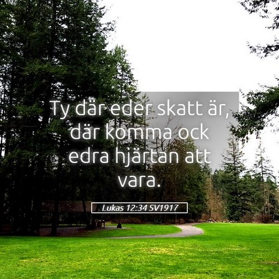 Picture 05 - Lukas 12:34 SV1917 - Ty där eder skatt är, där komma ock edra - Bible Verse Picture
