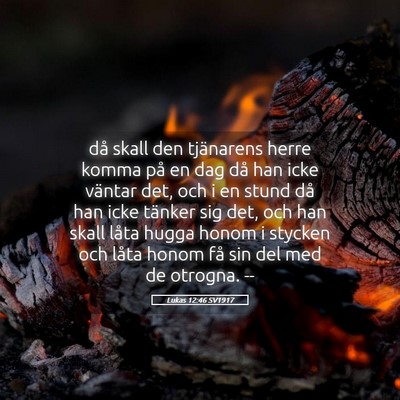 Picture 05 - Lukas 12:46 SV1917 - då skall den tjänarens herre komma på en dag - Bible Verse Picture