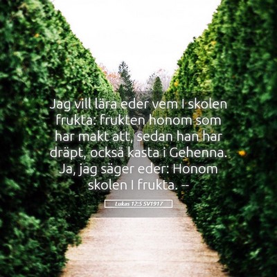 Picture 05 - Lukas 12:5 SV1917 - Jag vill lära eder vem I skolen frukta: frukten - Bible Verse Picture