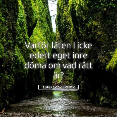 Picture 05 - Lukas 12:57 SV1917 - Varför låten I icke edert eget inre döma om - Bible Verse Picture