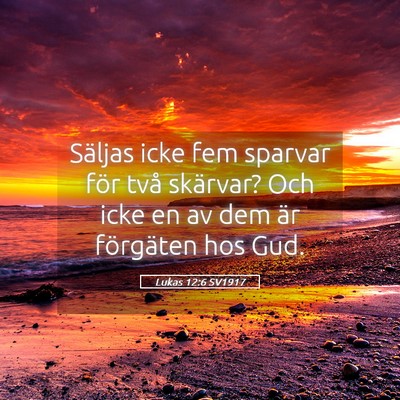 Picture 05 - Lukas 12:6 SV1917 - Säljas icke fem sparvar för två skärvar? Och - Bible Verse Picture