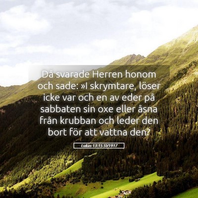 Picture 05 - Lukas 13:15 SV1917 - Då svarade Herren honom och sade: »I skrymtare, - Bible Verse Picture
