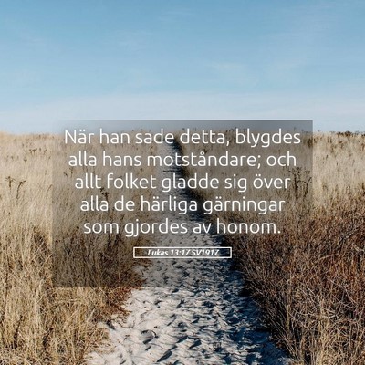 Picture 05 - Lukas 13:17 SV1917 - När han sade detta, blygdes alla hans - Bible Verse Picture