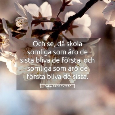 Picture 05 - Lukas 13:30 SV1917 - Och se, då skola somliga som äro de sista bliva - Bible Verse Picture