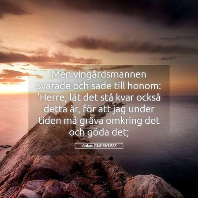 Picture 05 - Lukas 13:8 SV1917 - Men vingårdsmannen svarade och sade till honom: - Bible Verse Picture