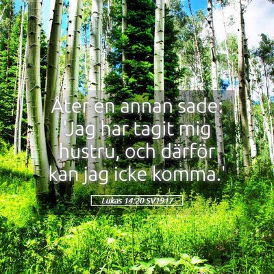 Picture 05 - Lukas 14:20 SV1917 - Åter en annan sade: 'Jag har tagit mig hustru, - Bible Verse Picture