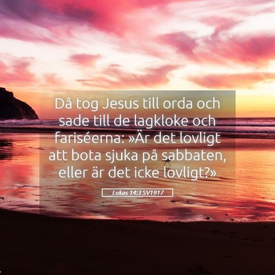 Picture 05 - Lukas 14:3 SV1917 - Då tog Jesus till orda och sade till de lagkloke - Bible Verse Picture