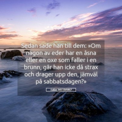 Picture 05 - Lukas 14:5 SV1917 - Sedan sade han till dem: »Om någon av eder har - Bible Verse Picture