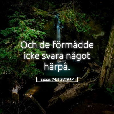 Picture 05 - Lukas 14:6 SV1917 - Och de förmådde icke svara något - Bible Verse Picture