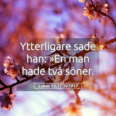 Picture 05 - Lukas 15:11 SV1917 - Ytterligare sade han: »En man hade två - Bible Verse Picture
