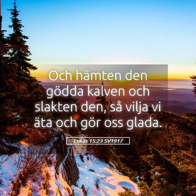 Picture 05 - Lukas 15:23 SV1917 - Och hämten den gödda kalven och slakten den, - Bible Verse Picture