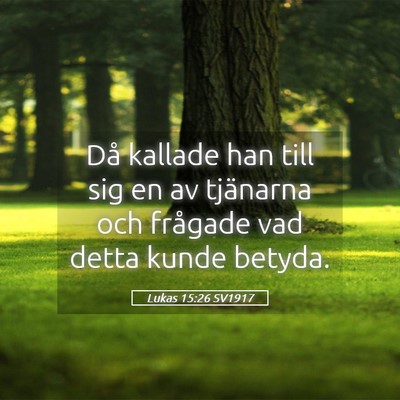 Picture 05 - Lukas 15:26 SV1917 - Då kallade han till sig en av tjänarna och - Bible Verse Picture