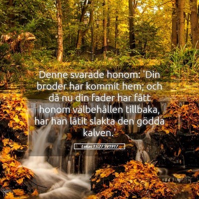 Picture 05 - Lukas 15:27 SV1917 - Denne svarade honom: 'Din broder har kommit hem; - Bible Verse Picture