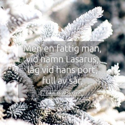 Picture 05 - Lukas 16:20 SV1917 - Men en fattig man, vid namn Lasarus, låg vid - Bible Verse Picture