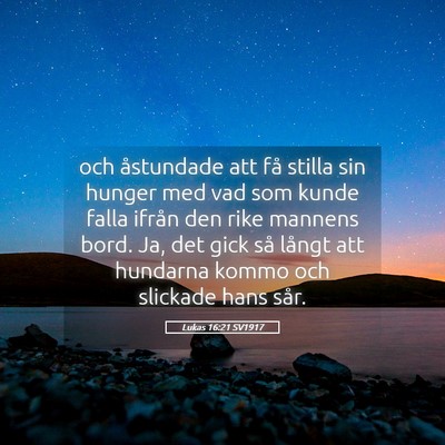 Picture 05 - Lukas 16:21 SV1917 - och åstundade att få stilla sin hunger med vad - Bible Verse Picture