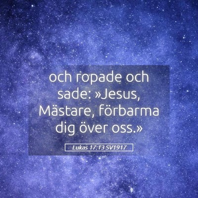 Picture 05 - Lukas 17:13 SV1917 - och ropade och sade: »Jesus, Mästare, förbarma - Bible Verse Picture