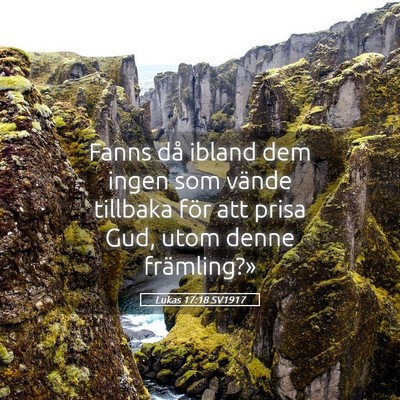 Picture 05 - Lukas 17:18 SV1917 - Fanns då ibland dem ingen som vände tillbaka - Bible Verse Picture