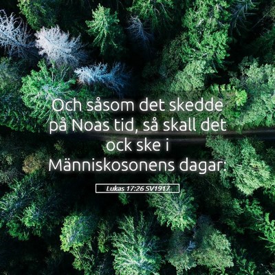 Picture 05 - Lukas 17:26 SV1917 - Och såsom det skedde på Noas tid, så skall det - Bible Verse Picture