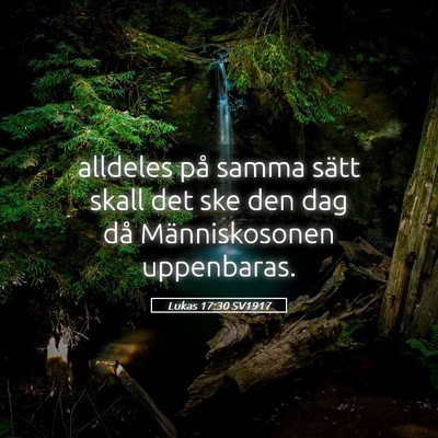 Picture 05 - Lukas 17:30 SV1917 - alldeles på samma sätt skall det ske den dag - Bible Verse Picture