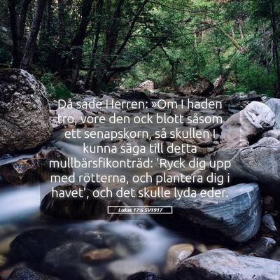 Picture 05 - Lukas 17:6 SV1917 - Då sade Herren: »Om I haden tro, vore den ock - Bible Verse Picture