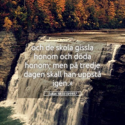 Picture 05 - Lukas 18:33 SV1917 - och de skola gissla honom och döda honom; men - Bible Verse Picture
