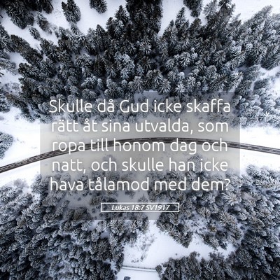 Picture 05 - Lukas 18:7 SV1917 - Skulle då Gud icke skaffa rätt åt sina - Bible Verse Picture