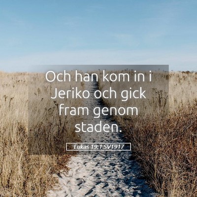 Picture 05 - Lukas 19:1 SV1917 - Och han kom in i Jeriko och gick fram genom - Bible Verse Picture