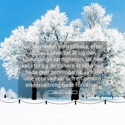 Picture 05 - Lukas 19:15 SV1917 - När han sedan kom tillbaka, efter att hava - Bible Verse Picture
