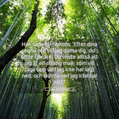 Picture 05 - Lukas 19:22 SV1917 - Han sade till honom: 'Efter dina egna ord vill - Bible Verse Picture