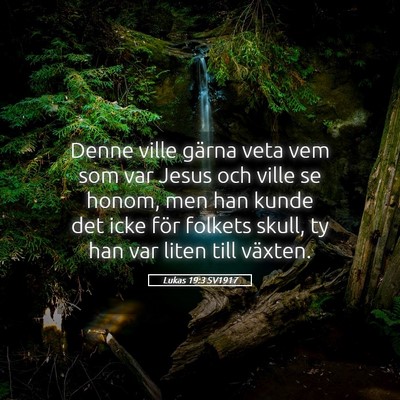Picture 05 - Lukas 19:3 SV1917 - Denne ville gärna veta vem som var Jesus och - Bible Verse Picture