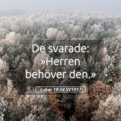Picture 05 - Lukas 19:34 SV1917 - De svarade: »Herren behöver - Bible Verse Picture