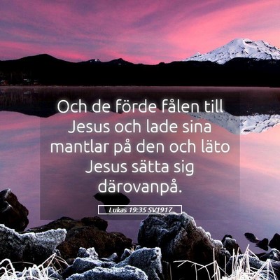 Picture 05 - Lukas 19:35 SV1917 - Och de förde fålen till Jesus och lade sina - Bible Verse Picture