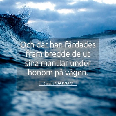 Picture 05 - Lukas 19:36 SV1917 - Och där han färdades fram bredde de ut sina - Bible Verse Picture
