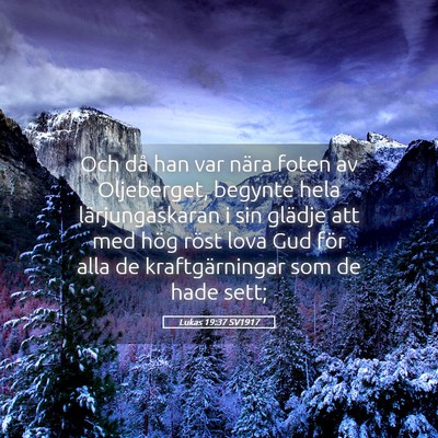 Picture 05 - Lukas 19:37 SV1917 - Och då han var nära foten av Oljeberget, - Bible Verse Picture