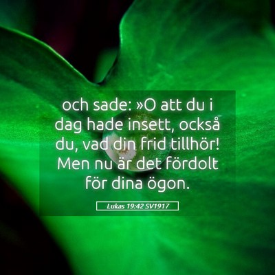 Picture 05 - Lukas 19:42 SV1917 - och sade: »O att du i dag hade insett, också - Bible Verse Picture