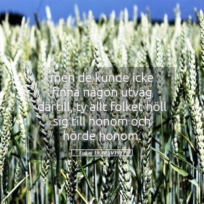 Picture 05 - Lukas 19:48 SV1917 - men de kunde icke finna någon utväg därtill, - Bible Verse Picture