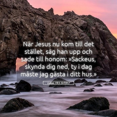 Picture 05 - Lukas 19:5 SV1917 - När Jesus nu kom till det stället, såg han upp - Bible Verse Picture