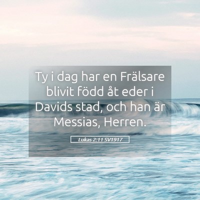 Picture 05 - Lukas 2:11 SV1917 - Ty i dag har en Frälsare blivit född åt eder i - Bible Verse Picture
