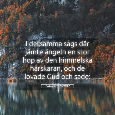 Picture 05 - Lukas 2:13 SV1917 - I detsamma sågs där jämte ängeln en stor hop - Bible Verse Picture