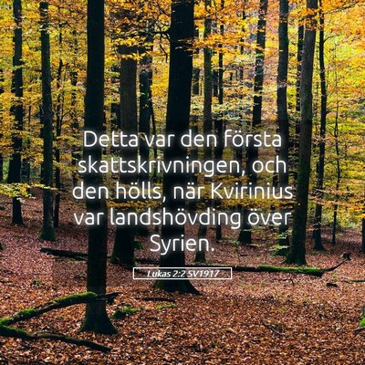 Picture 05 - Lukas 2:2 SV1917 - Detta var den första skattskrivningen, och den - Bible Verse Picture