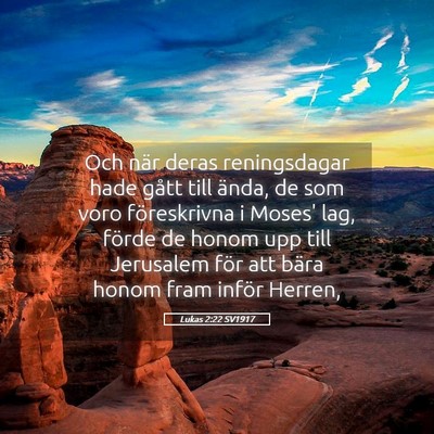 Picture 05 - Lukas 2:22 SV1917 - Och när deras reningsdagar hade gått till - Bible Verse Picture