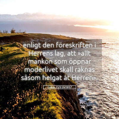 Picture 05 - Lukas 2:23 SV1917 - enligt den föreskriften i Herrens lag, att - Bible Verse Picture