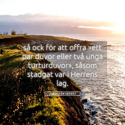 Picture 05 - Lukas 2:24 SV1917 - så ock för att offra »ett par duvor eller två - Bible Verse Picture