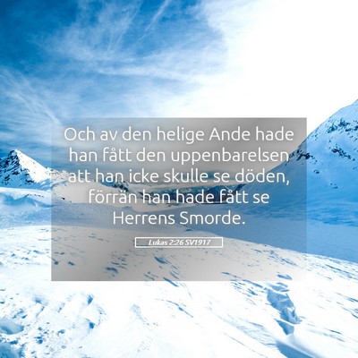 Picture 05 - Lukas 2:26 SV1917 - Och av den helige Ande hade han fått den - Bible Verse Picture